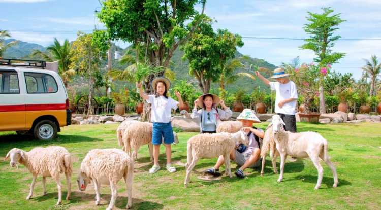 Tour Nha Trang 3N2Đ: Kong Forest - Đảo Mun - Hòn Tằm - Hang Rái - Vĩnh Hy - Đồng Cừu